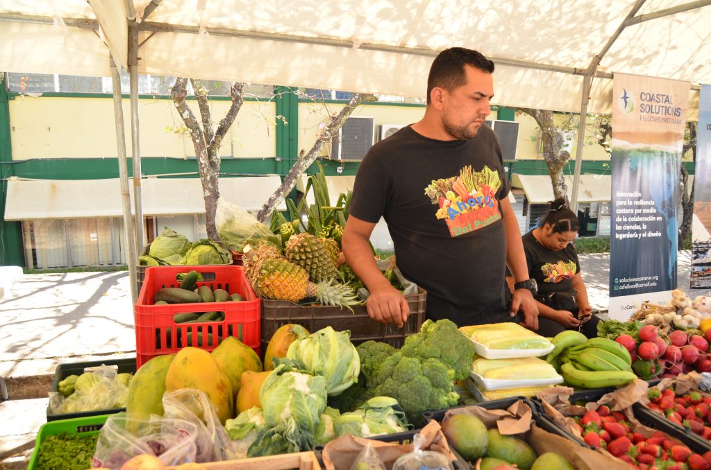 Congreso Nacional promueve la inclusión con Feria de la Solidaridad