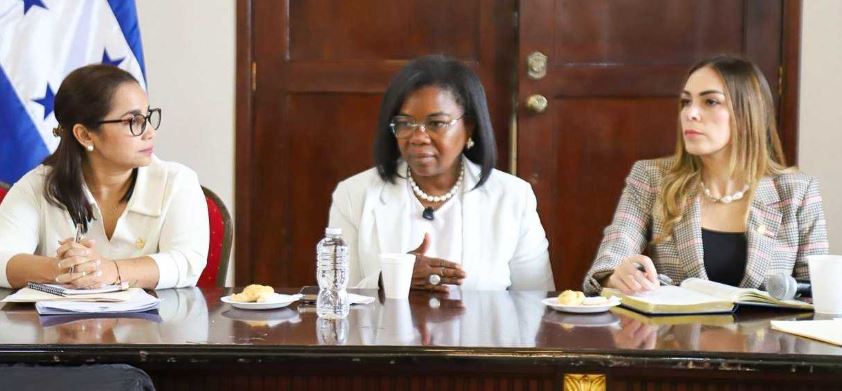 Comisión de Equidad de Género del CN analiza estrategias con organizaciones en pro de la mujer