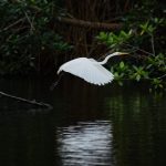 WhatsApp Image 2026-04-06 at 8.47.01 AM