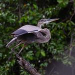 WhatsApp Image 2026-04-06 at 8.47.05 AM