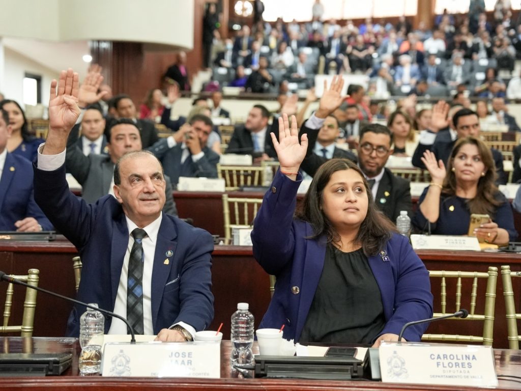 Congreso acepta renuncia de diputada suplente liberal Kathya Pastor