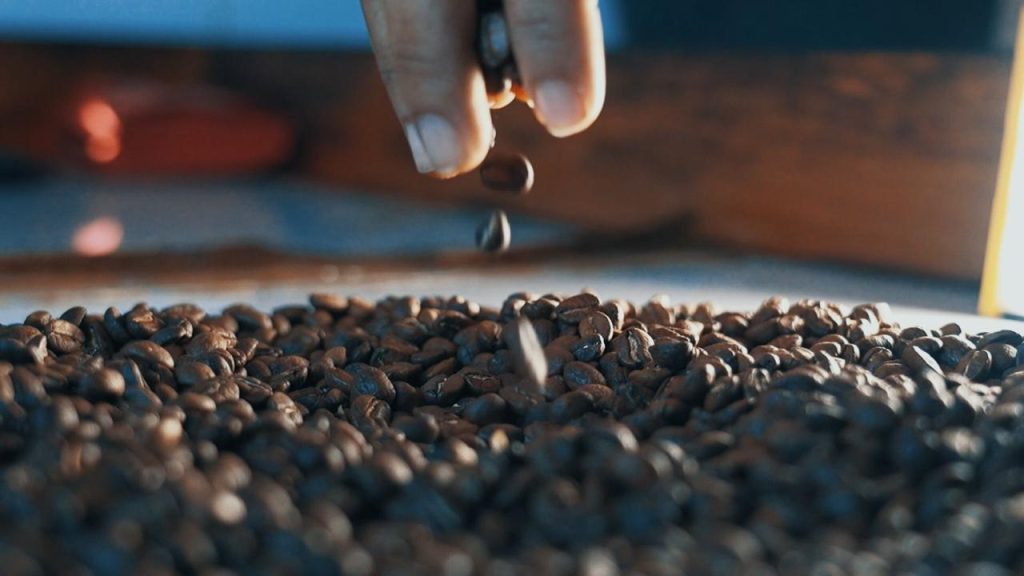 Gobierno destaca excelencia del café hondureño y reafirma respaldo al sector cafetalero