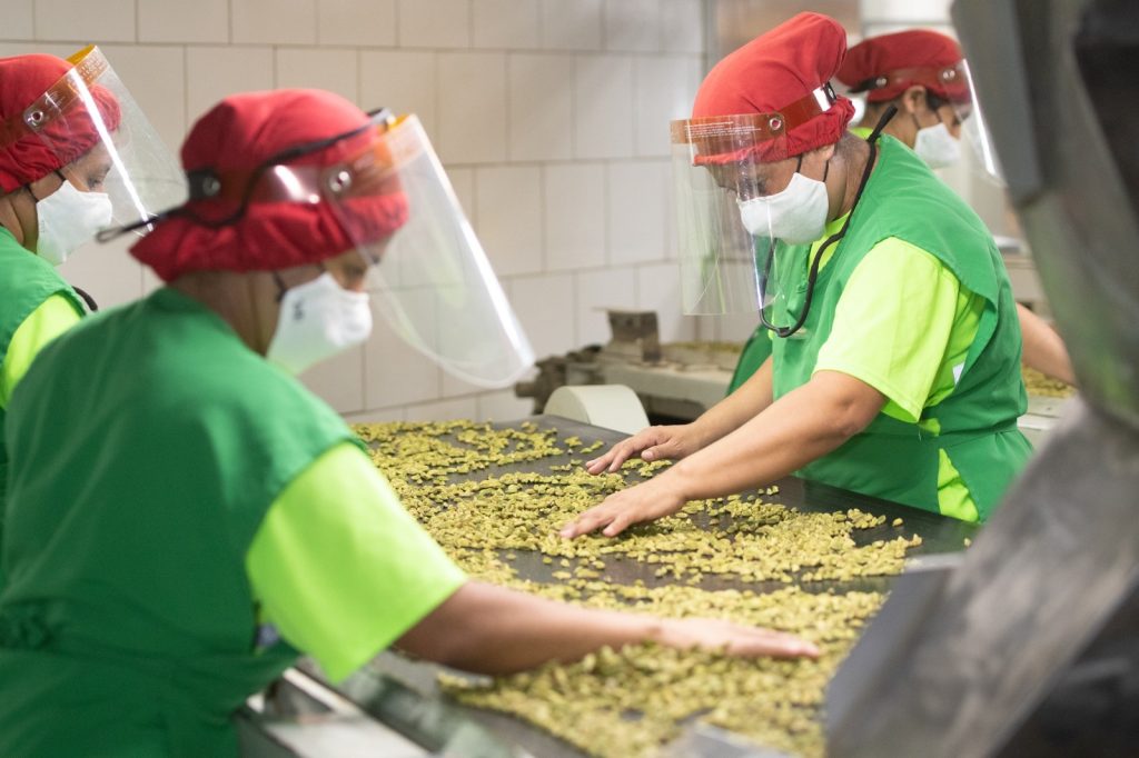 Producción de cardamomo podría superar los 100 mil quintales y se consolida como alternativa para diversificar el agro