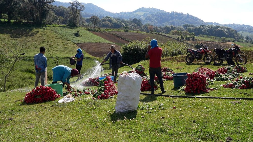 Gobierno y Banco Mundial impulsan programa que fortalecerá la agricultura familiar