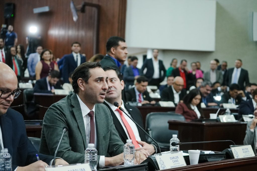 Peña Panting: «Reforma energética blinda las hidroeléctricas de la ENEE y garantiza patrimonio del Estado»