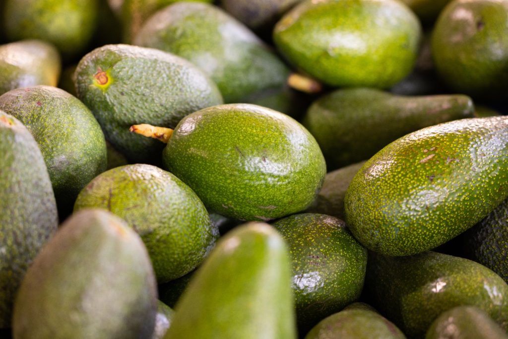 Reactivan Plan Nacional de Aguacate para fortalecer la producción y reducir la importación