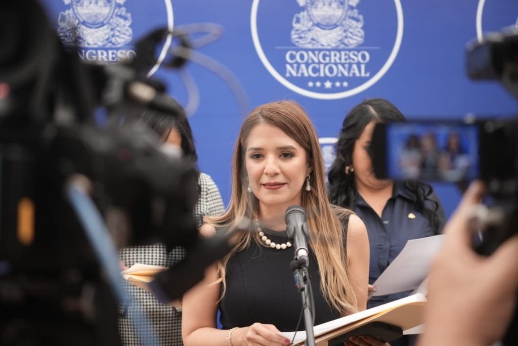CN agenda juramentación de autoridades electorales interinas y debate de reformas eléctricas