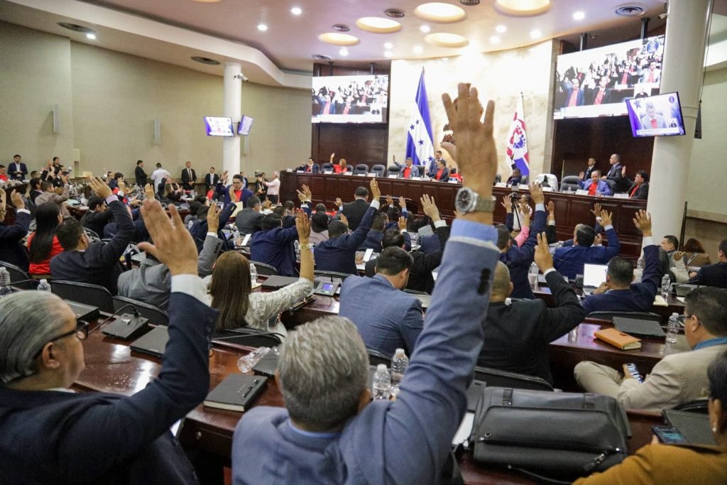 Por unanimidad el CN aprueba investigar promoción ilegal de abortos