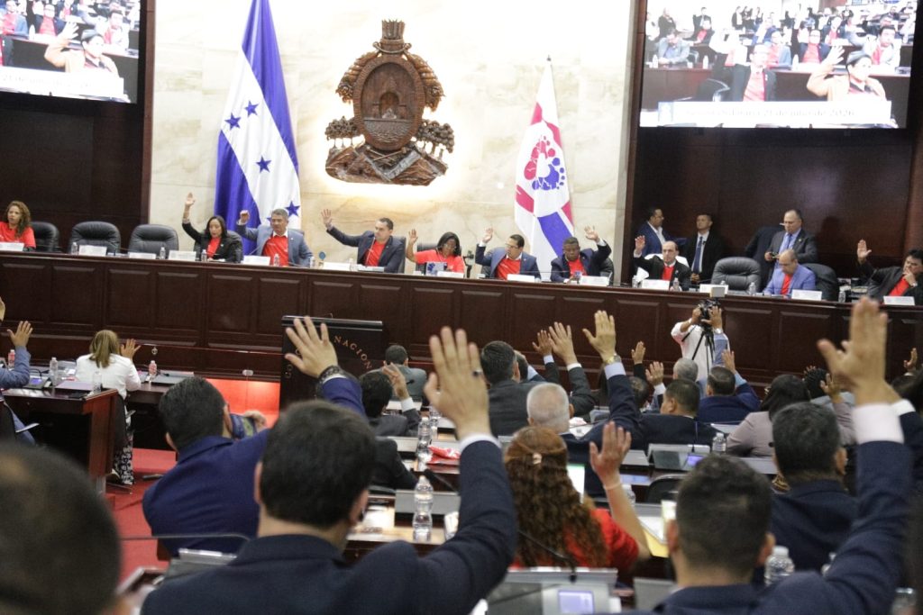 Cámara Legislativa aprueba eliminar bienes en desuso en alcaldías