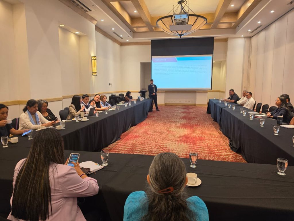 Organizaciones de sociedad civil concluyen propuesta de reformas electorales para presentarlas al CN